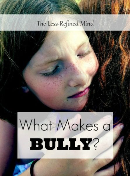 What Makes a Bully?
