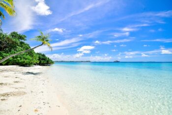 Beach scene.